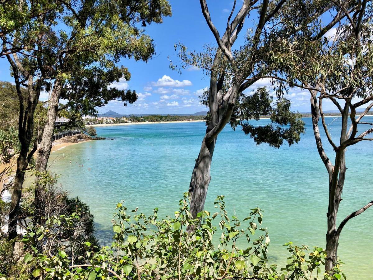 Apartment In 4* Resort - Pool Views - Great Location Noosaville Exteriör bild